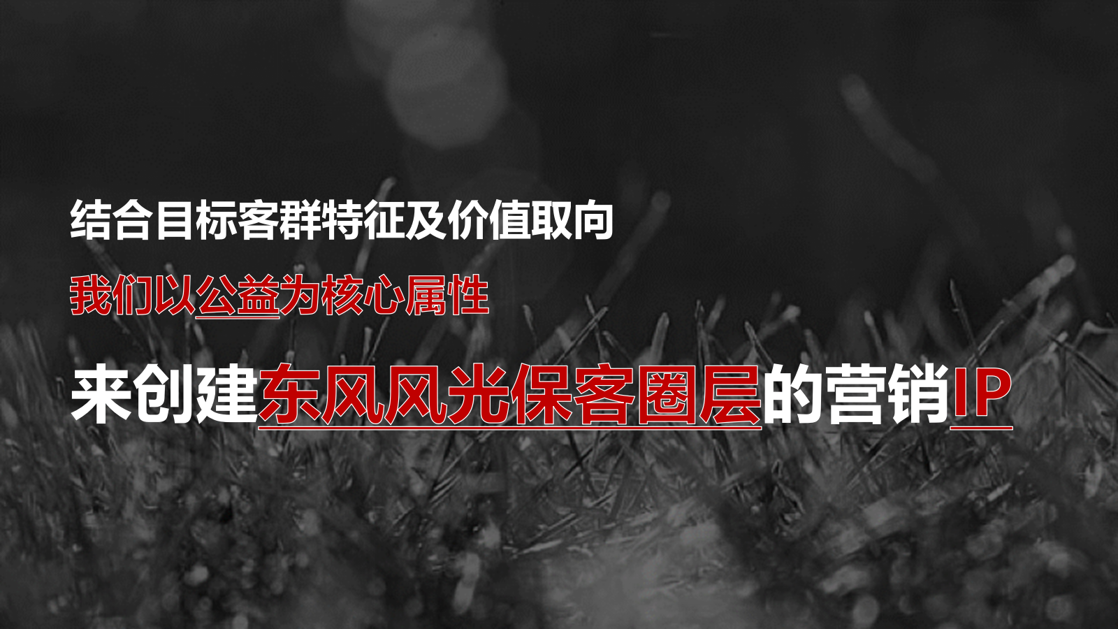 【IP营销】汽车品牌保客圈层IP化营销运营规划.pptx_第6页