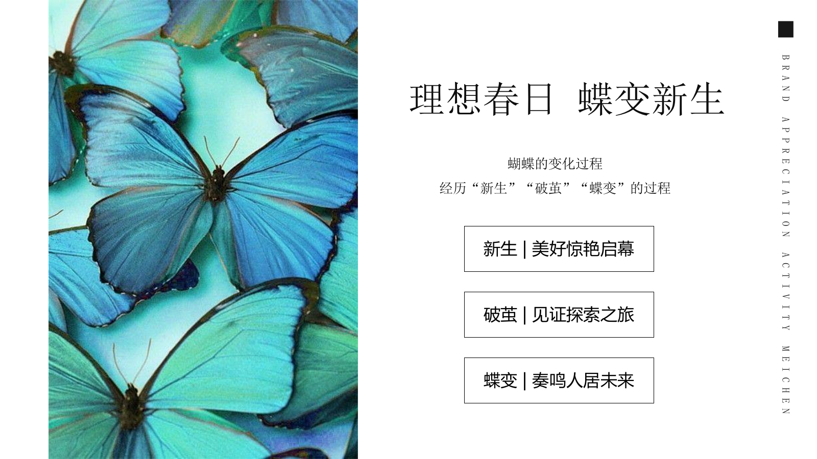 湖州地产售楼处开放活动策划方案.pptx_第9页