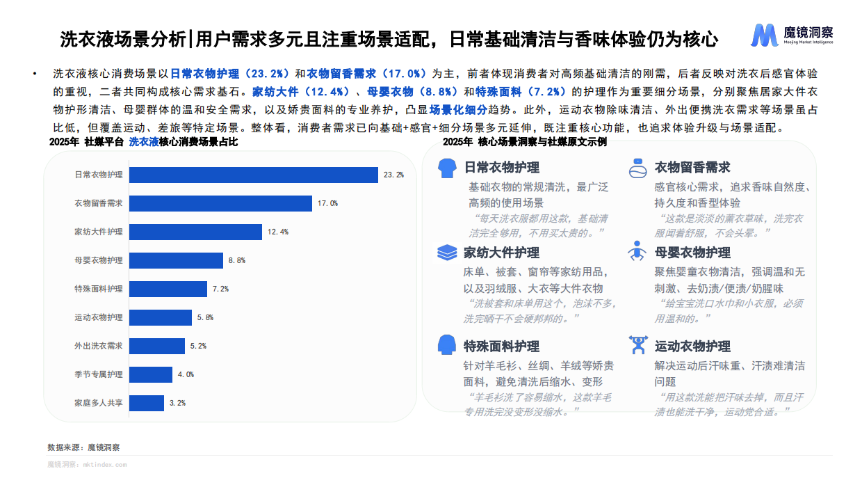 2025年织物与家居清洁市场趋势洞察报告-魔镜洞察.pdf_第10页