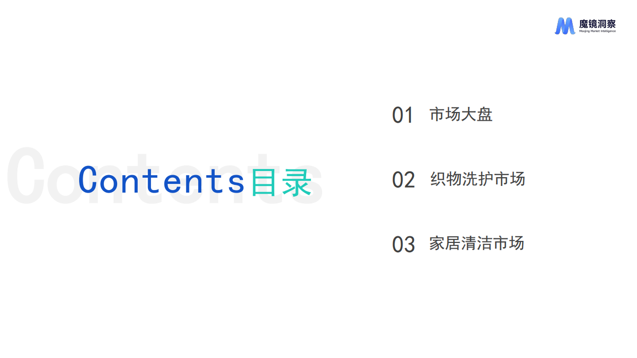 2025年织物与家居清洁市场趋势洞察报告-魔镜洞察.pdf_第2页