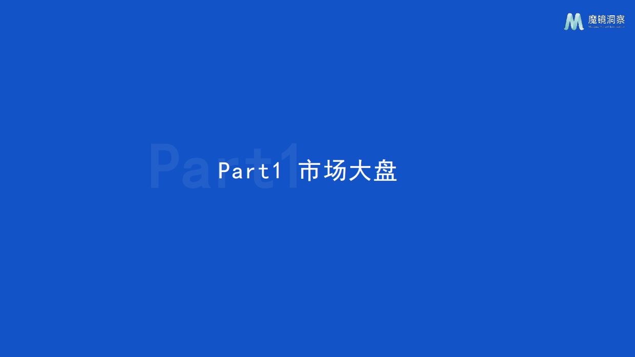 2025年织物与家居清洁市场趋势洞察报告-魔镜洞察.pdf_第3页