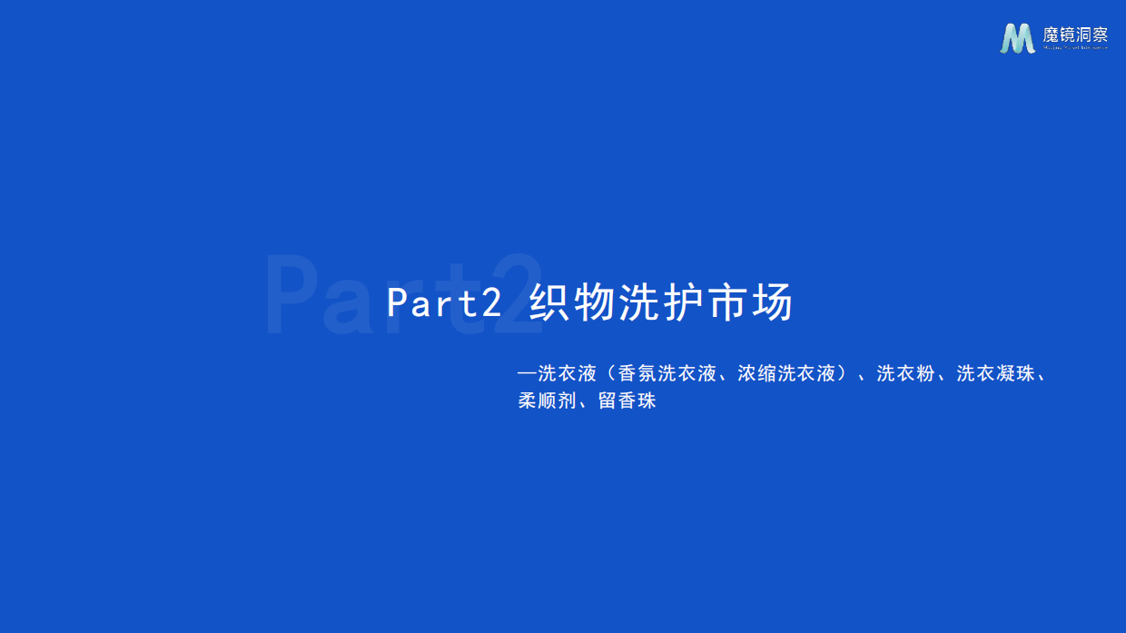 2025年织物与家居清洁市场趋势洞察报告-魔镜洞察.pdf_第5页