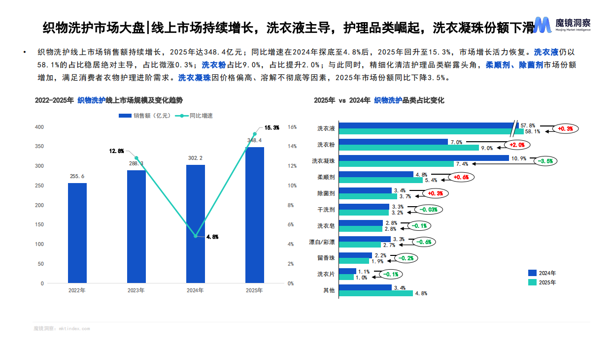 2025年织物与家居清洁市场趋势洞察报告-魔镜洞察.pdf_第6页
