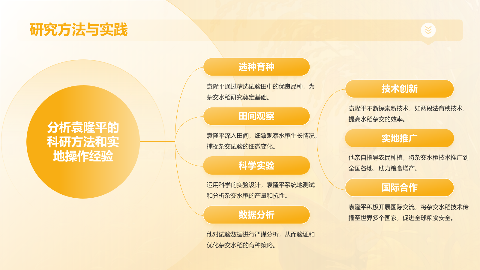 橙色插画风杂交水稻之父——袁隆平人物介绍PPT模板.pptx_第10页