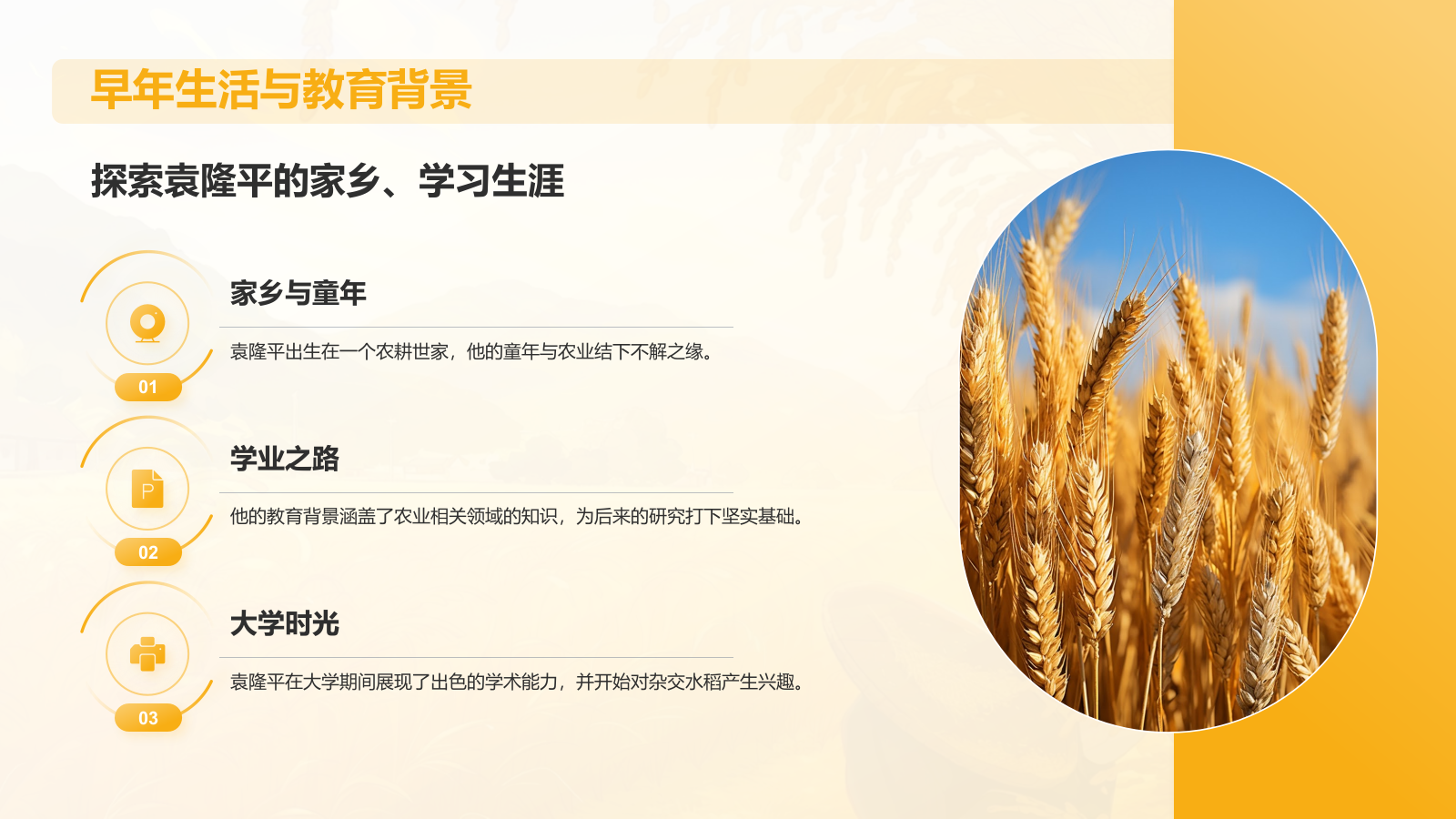 橙色插画风杂交水稻之父——袁隆平人物介绍PPT模板.pptx_第4页