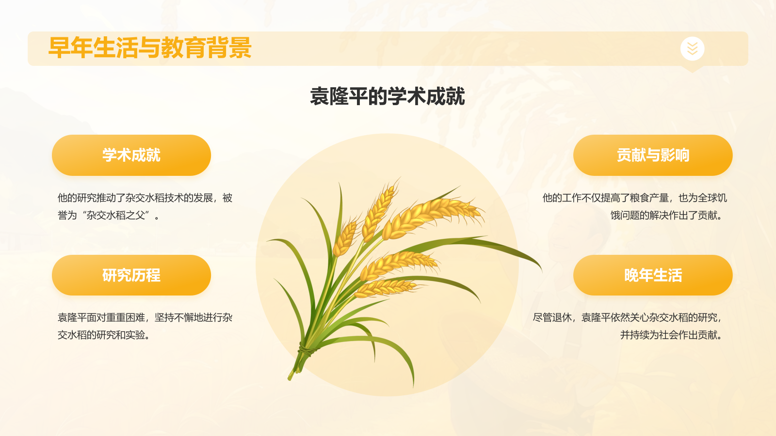 橙色插画风杂交水稻之父——袁隆平人物介绍PPT模板.pptx_第5页