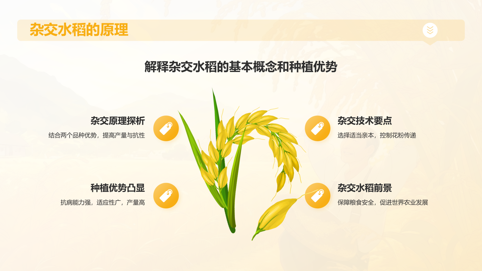 橙色插画风杂交水稻之父——袁隆平人物介绍PPT模板.pptx_第9页