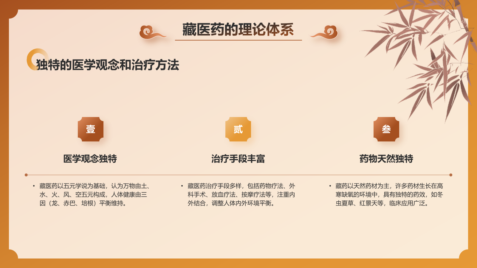 橙色国潮风非遗文化介绍——藏医药PPT模板.pptx_第6页