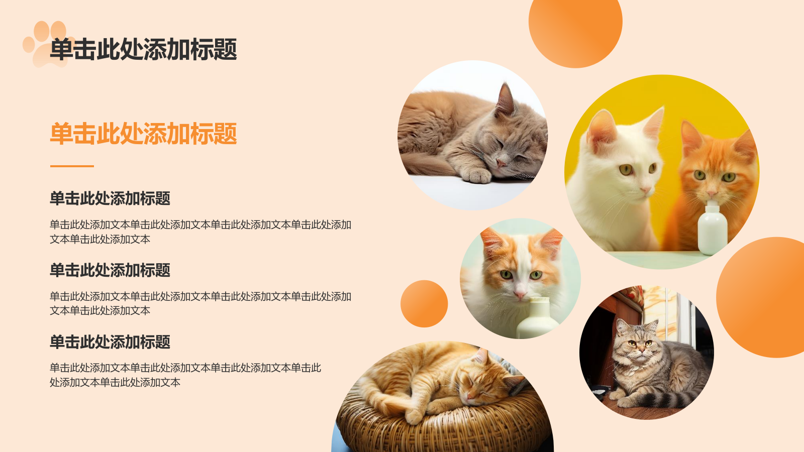 橙色卡通风可爱猫咪介绍PPT模板.pptx_第10页