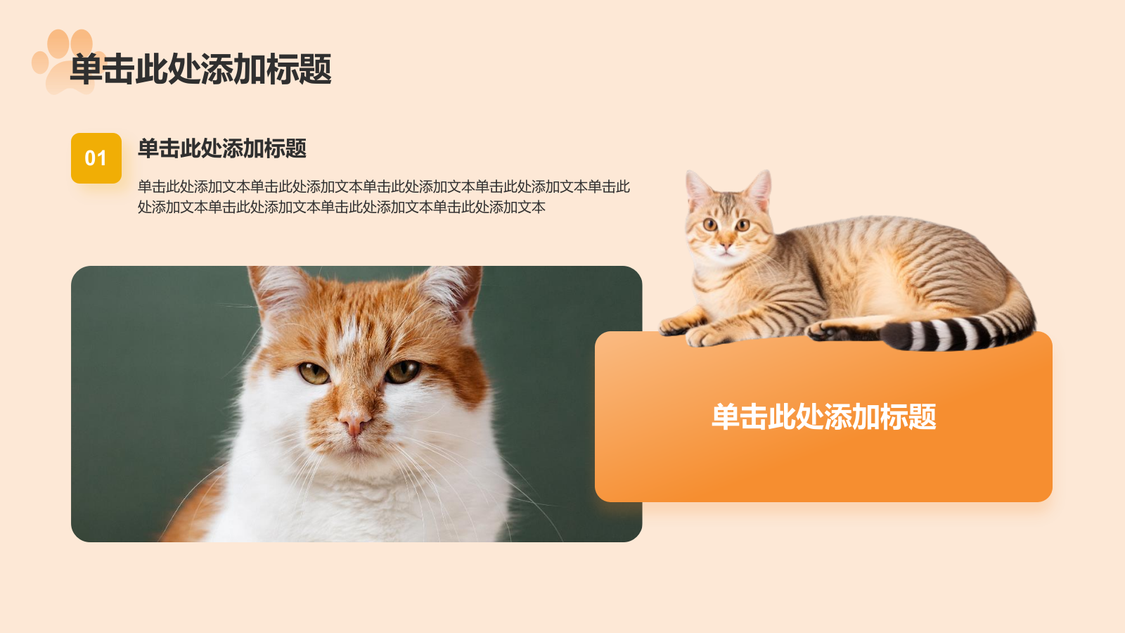 橙色卡通风可爱猫咪介绍PPT模板.pptx_第5页
