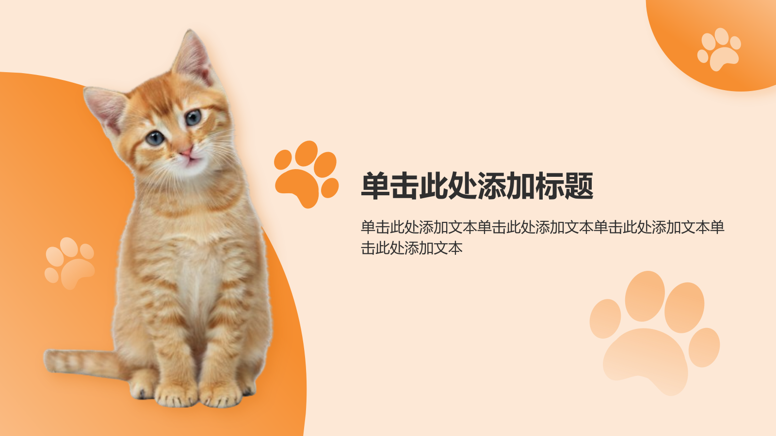 橙色卡通风可爱猫咪介绍PPT模板.pptx_第7页