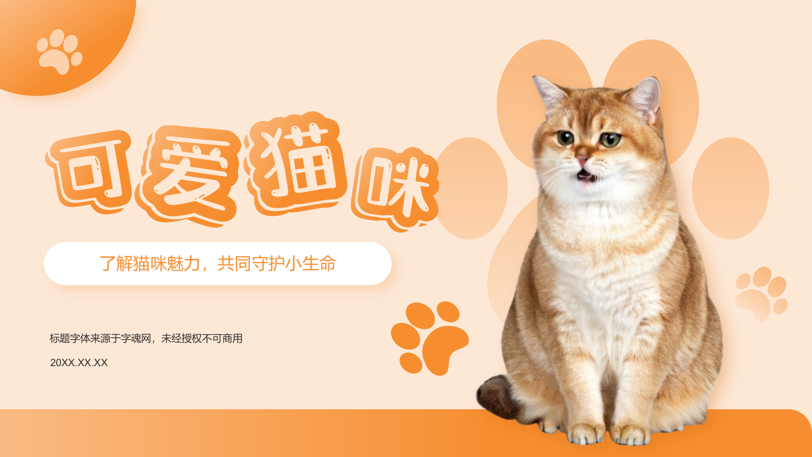 橙色卡通风可爱猫咪介绍PPT模板.pptx