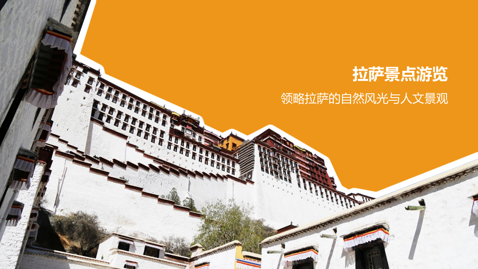 橙色摄影风旅游出行计划旅游攻略PPT模板.pptx_第8页