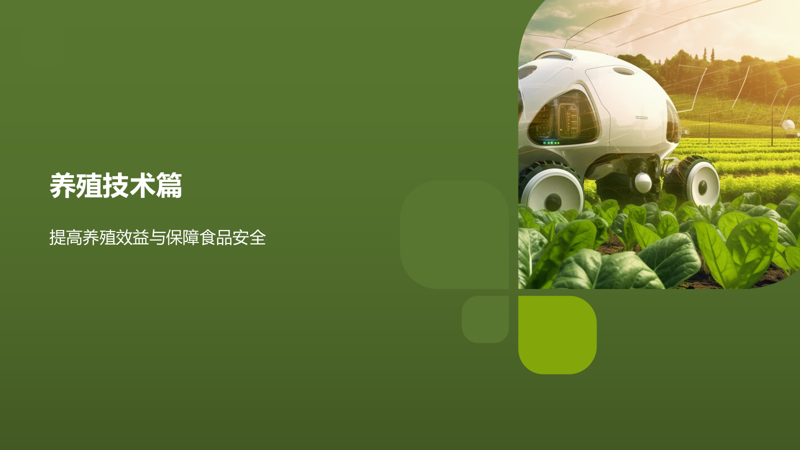 高效农业解决方案.pptx_第7页