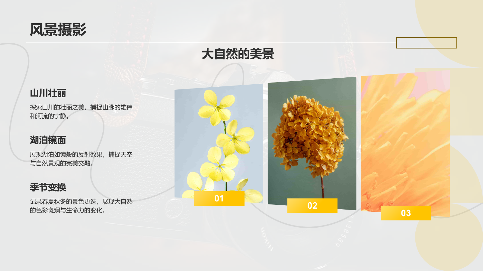 黑色摄影风摄影作品集PPT模板.pptx_第8页