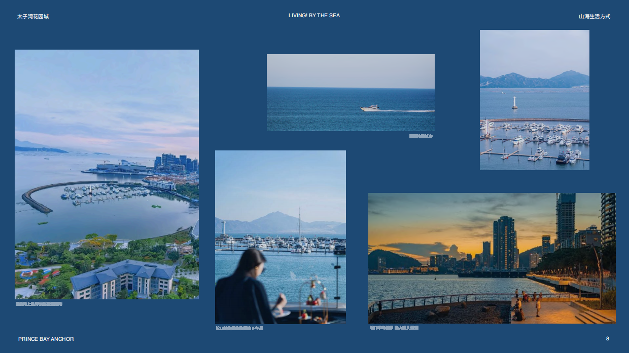 深圳太子湾花园城简介.pdf_第8页