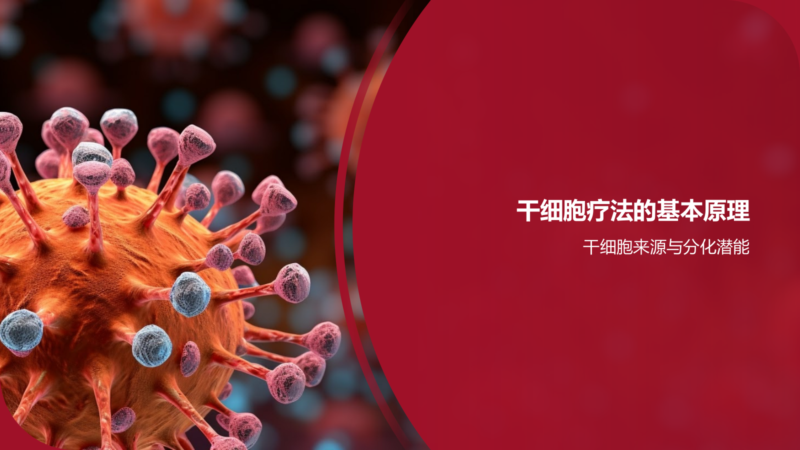 红色摄影风心血管疾病干细胞治疗研究PPT模板.pptx_第3页