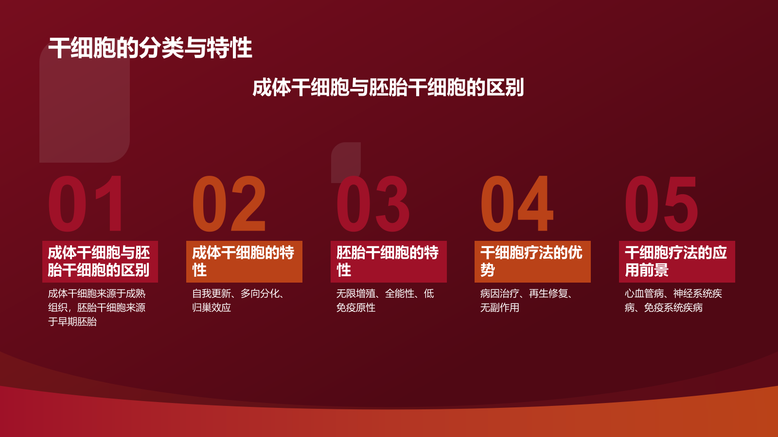 红色摄影风心血管疾病干细胞治疗研究PPT模板.pptx_第4页