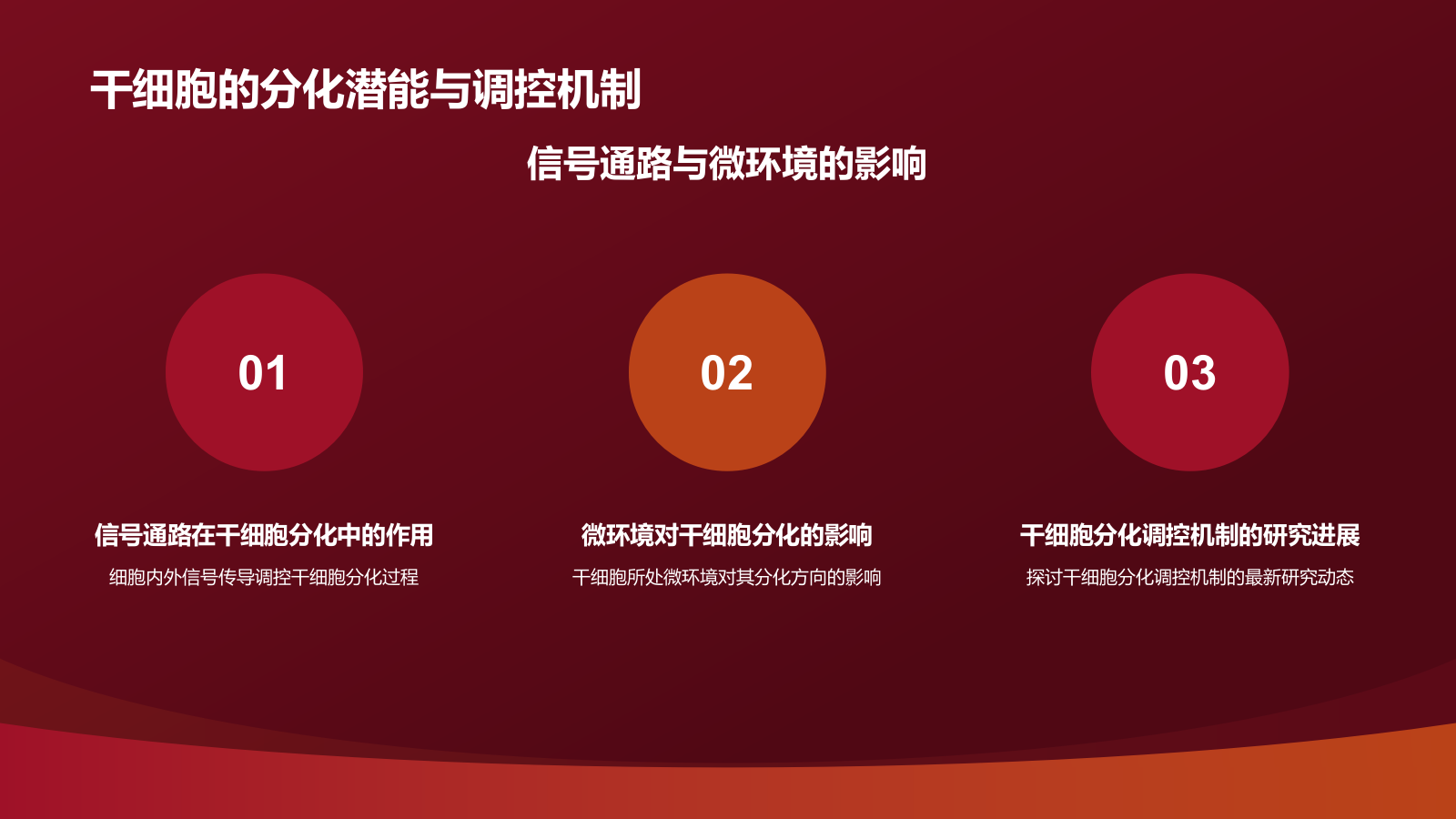 红色摄影风心血管疾病干细胞治疗研究PPT模板.pptx_第5页