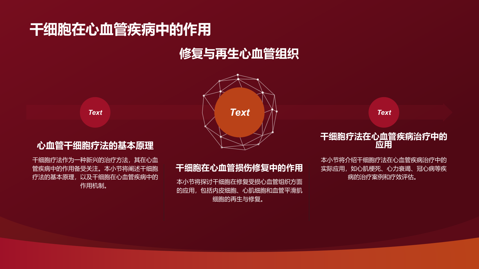 红色摄影风心血管疾病干细胞治疗研究PPT模板.pptx_第6页