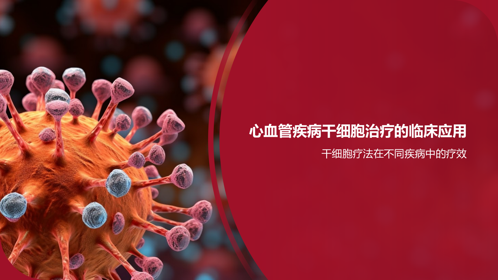 红色摄影风心血管疾病干细胞治疗研究PPT模板.pptx_第7页