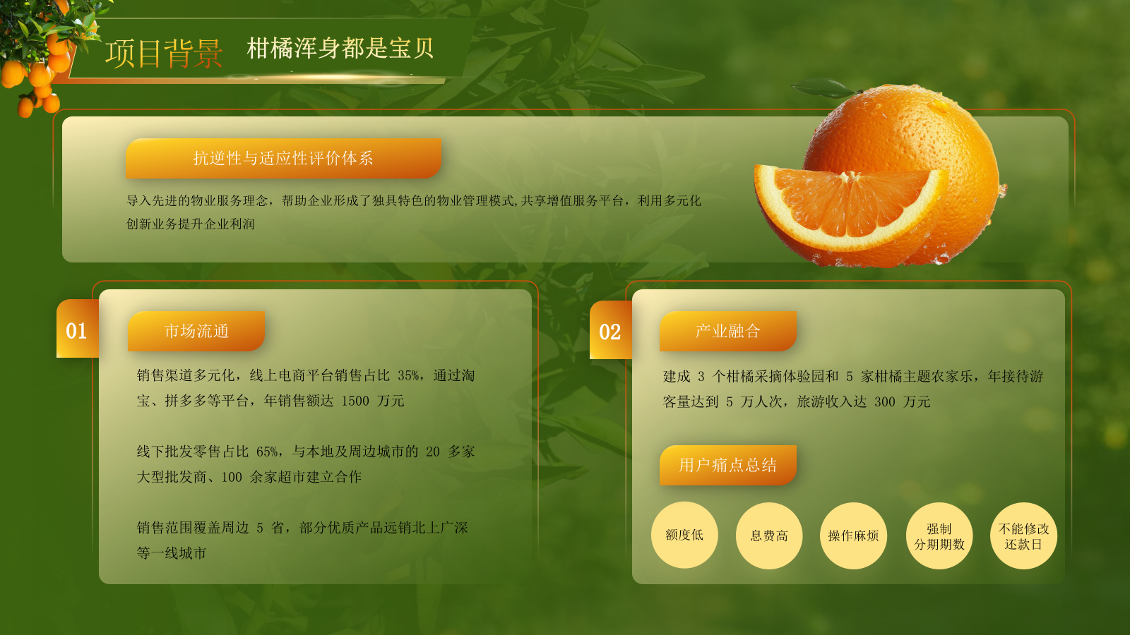 黄绿色高级创赛风农产品汇报PPT模板.pptx_第8页