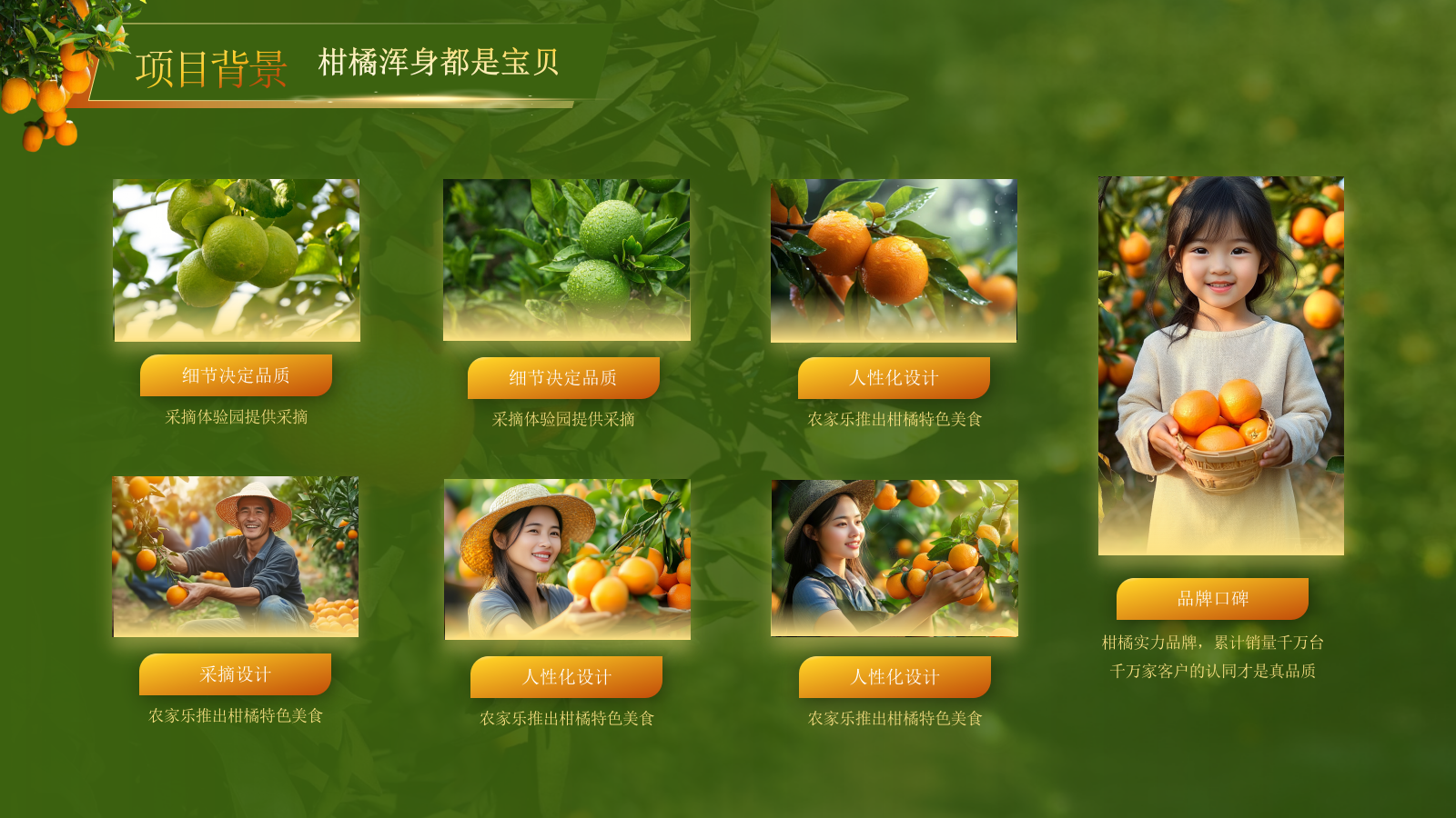 黄绿色高级创赛风农产品汇报PPT模板.pptx_第10页