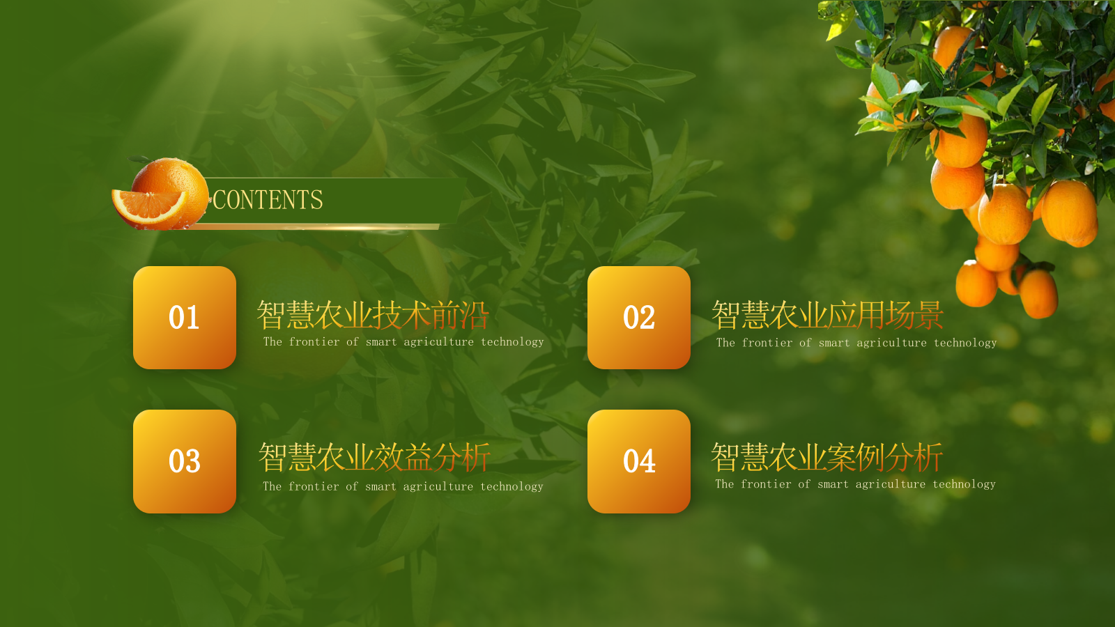 黄绿色高级创赛风农产品汇报PPT模板.pptx_第2页