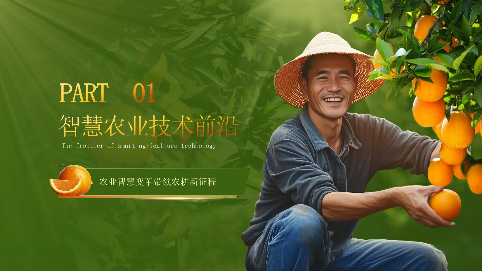 黄绿色高级创赛风农产品汇报PPT模板.pptx_第3页