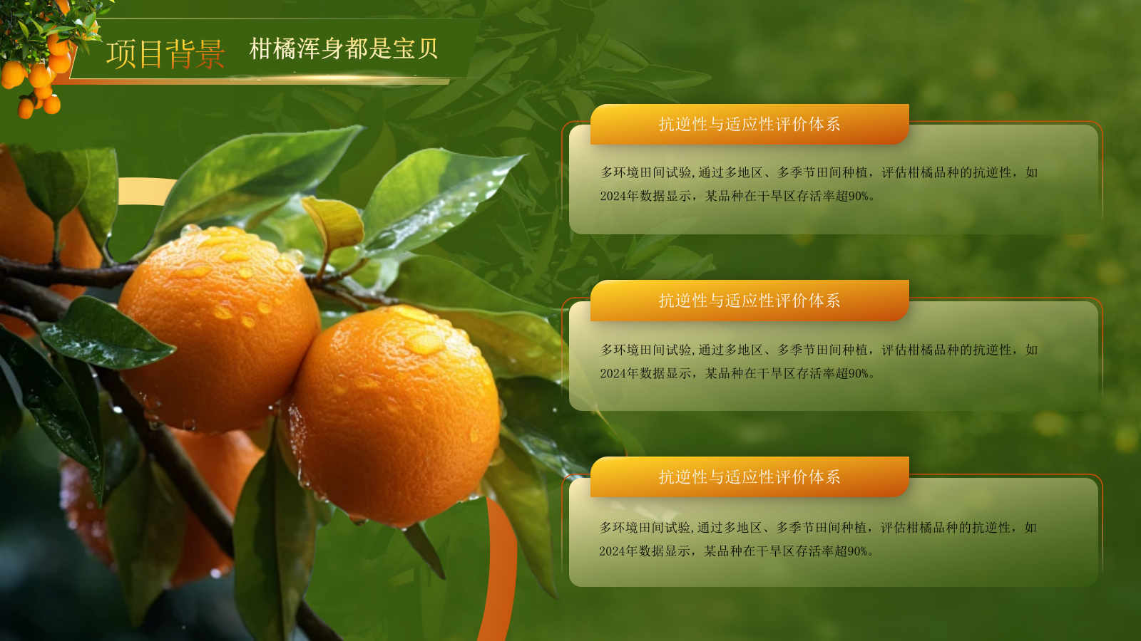 黄绿色高级创赛风农产品汇报PPT模板.pptx_第4页