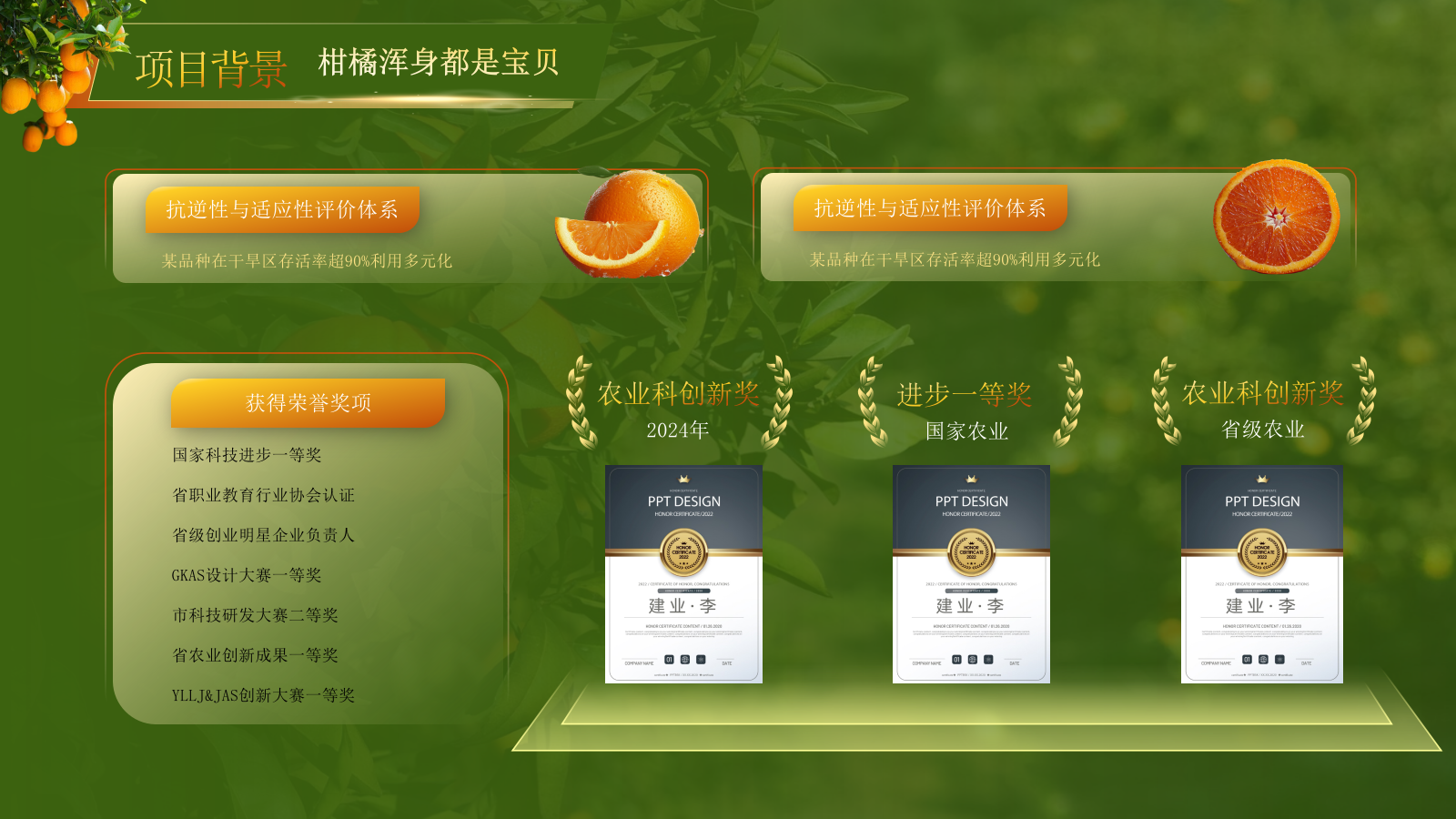 黄绿色高级创赛风农产品汇报PPT模板.pptx_第5页