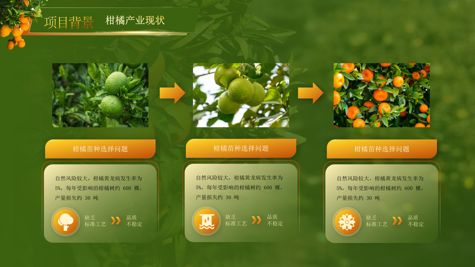 黄绿色高级创赛风农产品汇报PPT模板.pptx_第6页