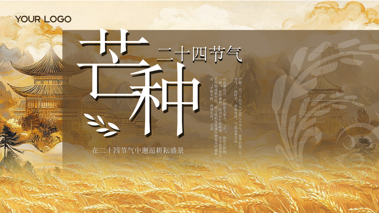 黄色古风中国传统文化二十四节气芒种课堂科普PPT模板.pptx_第1页