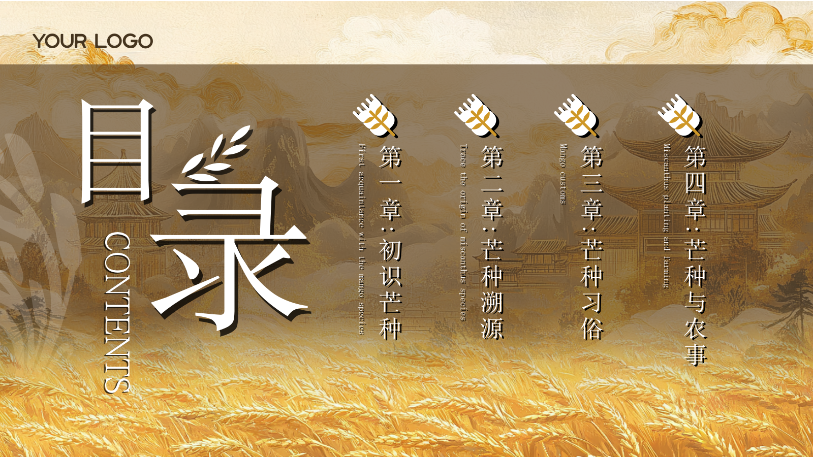 黄色古风中国传统文化二十四节气芒种课堂科普PPT模板.pptx_第2页