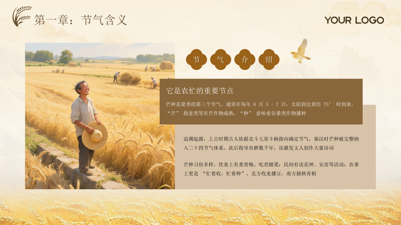 黄色古风中国传统文化二十四节气芒种课堂科普PPT模板.pptx_第4页