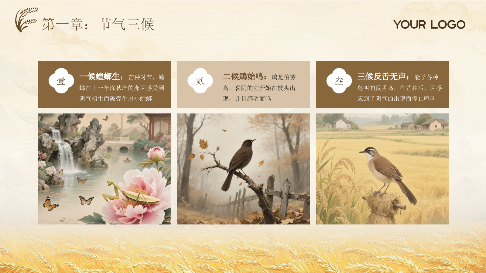 黄色古风中国传统文化二十四节气芒种课堂科普PPT模板.pptx_第6页