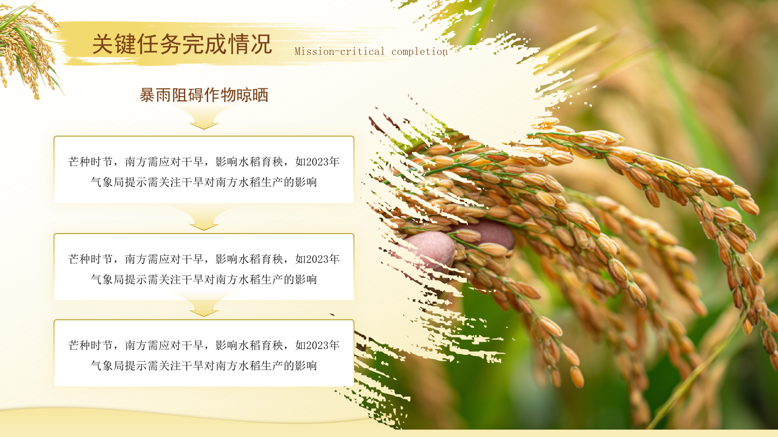 黄色芒种节气高级感PPT模板.pptx_第10页