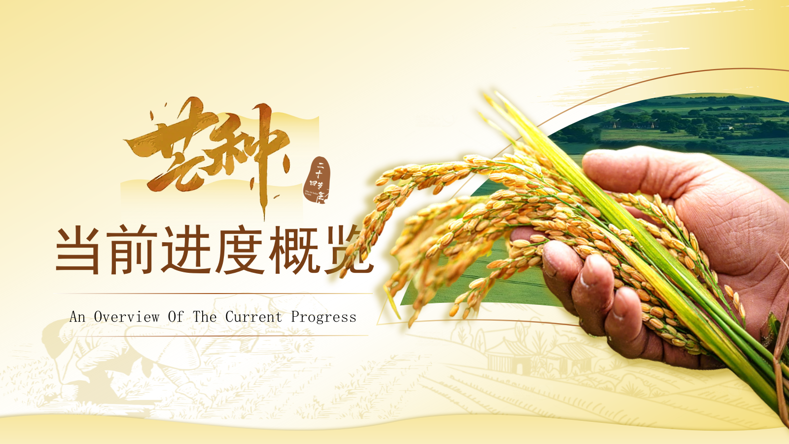 黄色芒种节气高级感PPT模板.pptx_第3页