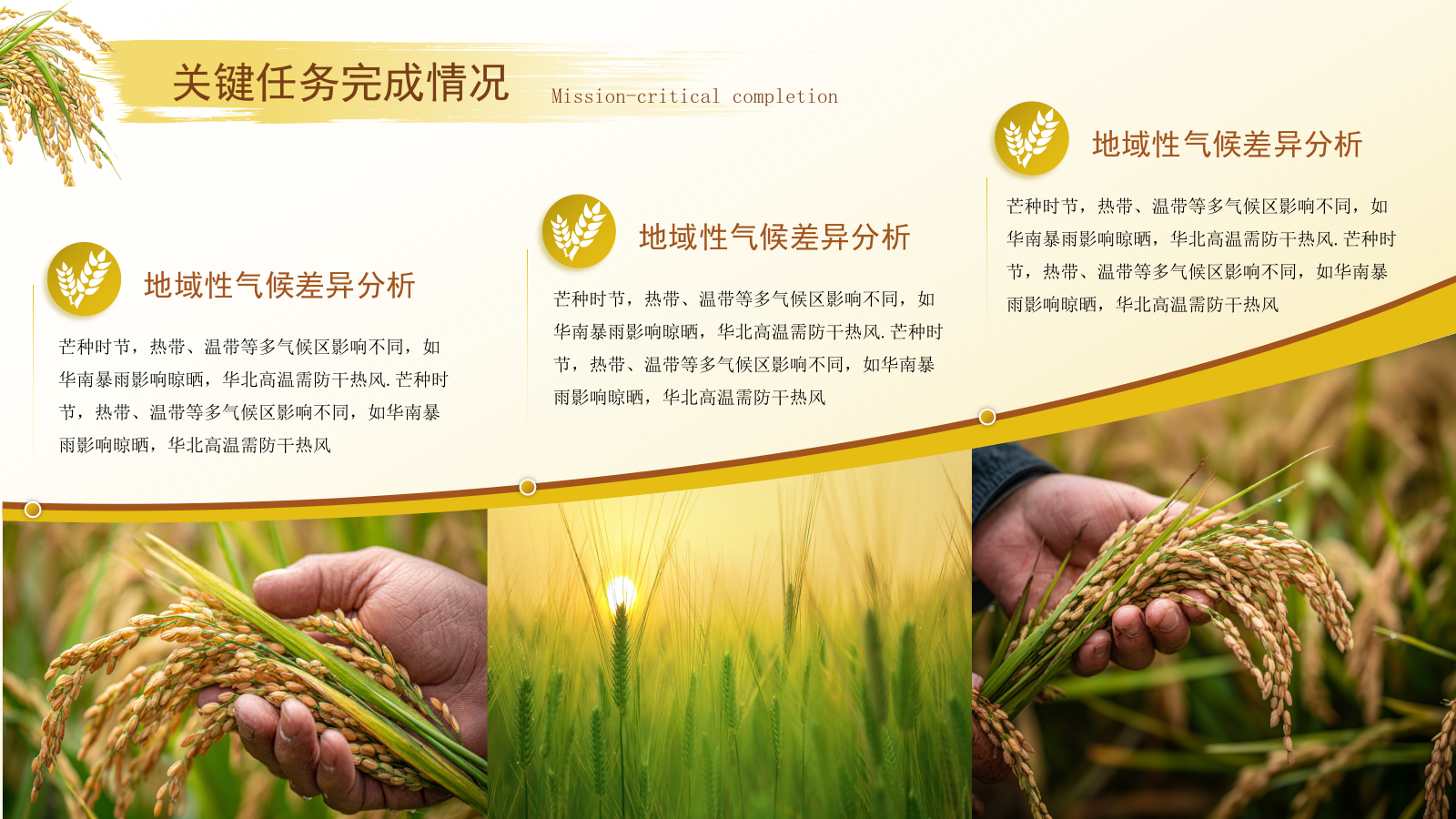 黄色芒种节气高级感PPT模板.pptx_第8页