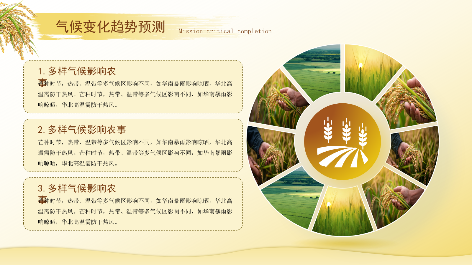 黄色芒种节气高级感PPT模板.pptx_第9页
