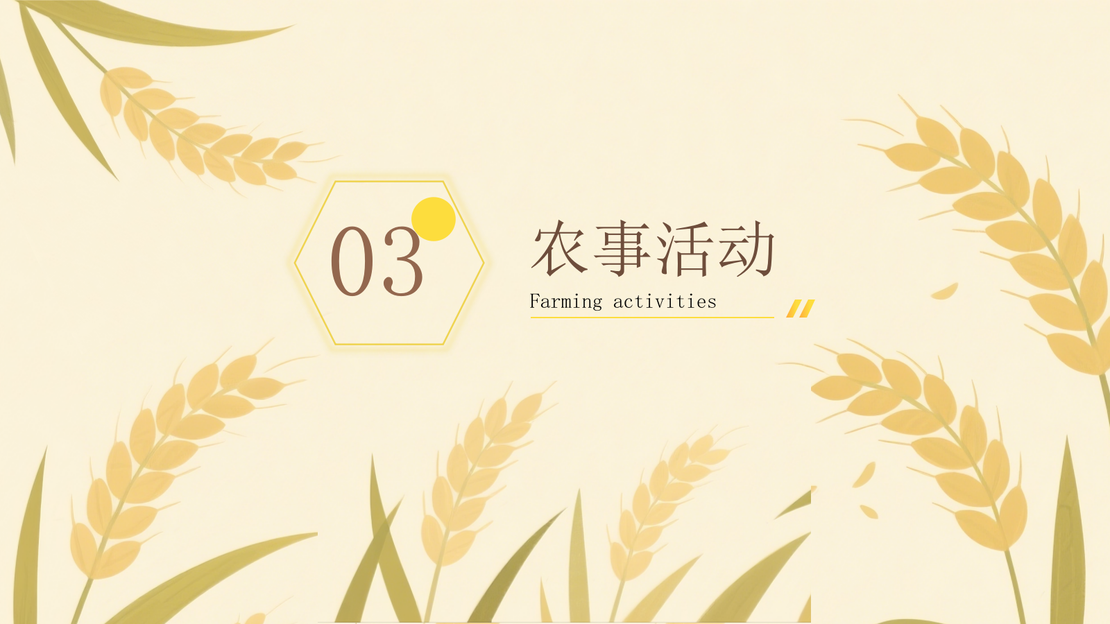 黄色芒种节气介绍通用PPT模板.pptx_第10页