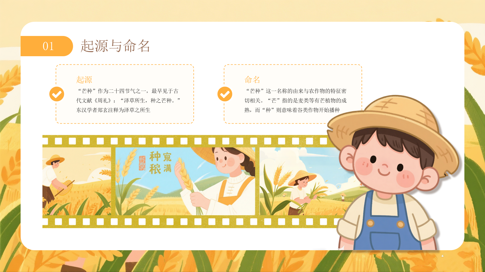 黄色芒种节气介绍通用PPT模板.pptx_第4页