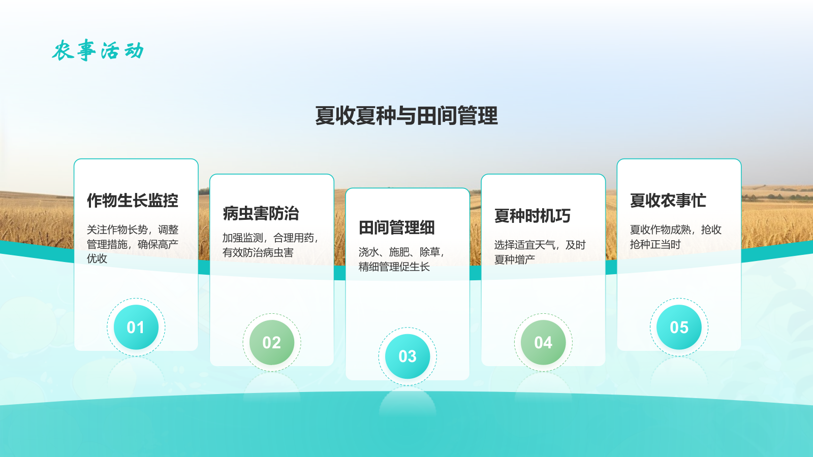 蓝色插画风大暑节气知识科普培训PPT模板.pptx_第8页