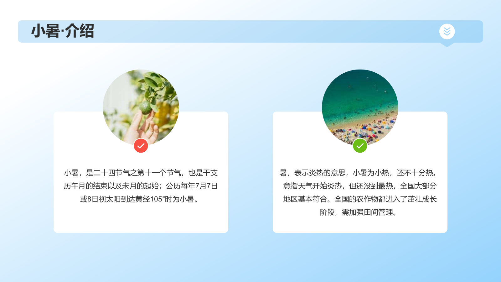 蓝色插画风小暑节气科普PPT模板.pptx_第4页