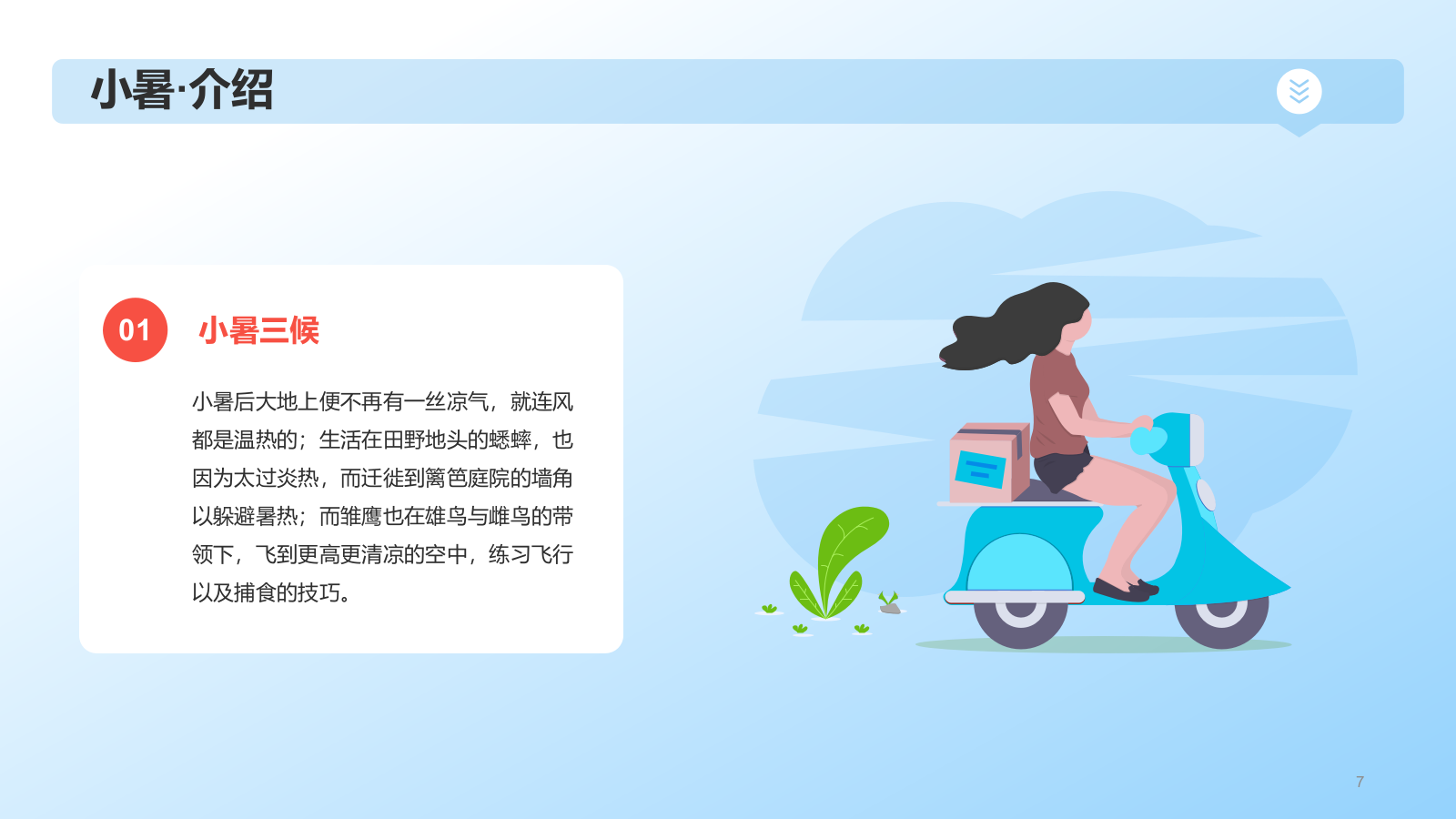 蓝色插画风小暑节气科普PPT模板.pptx_第7页