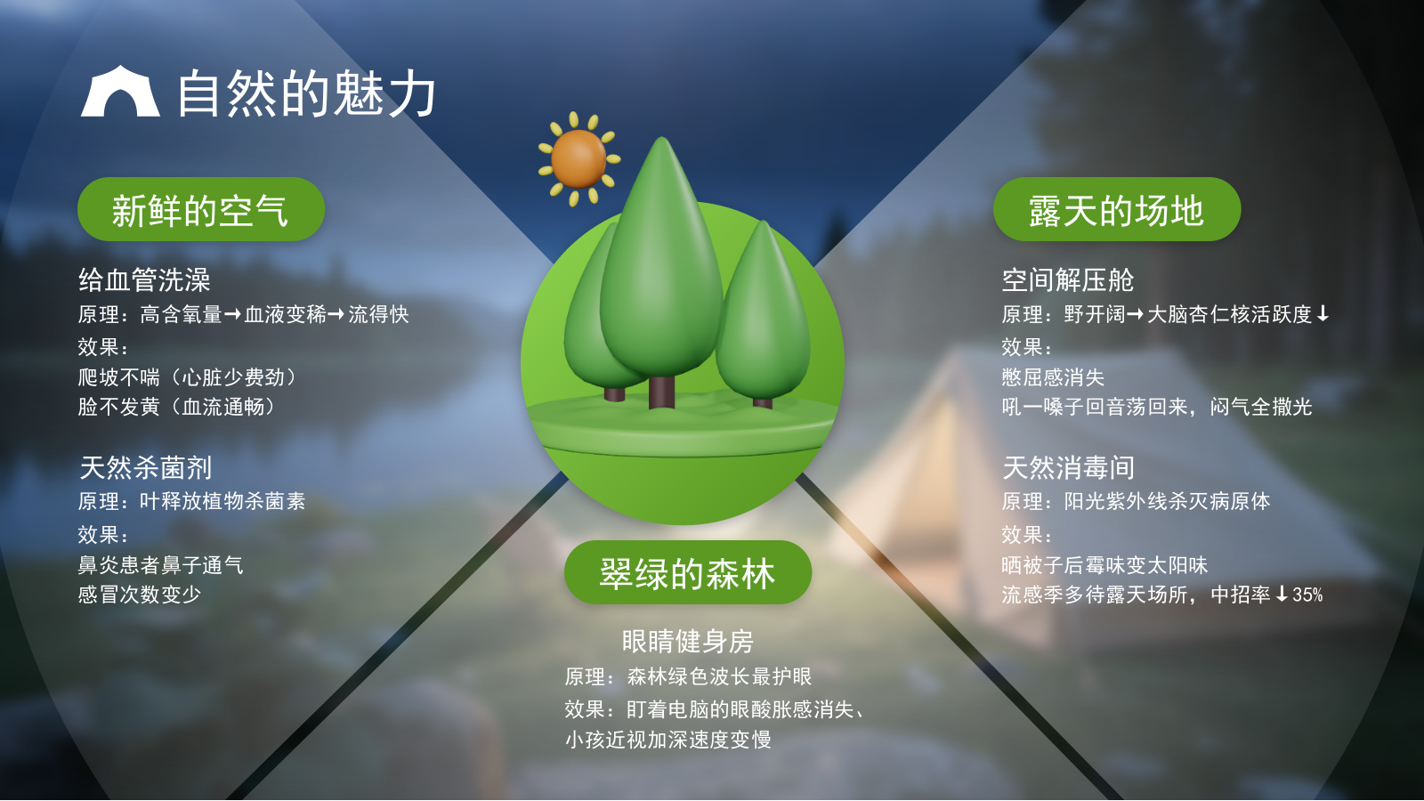绿色3D立体风户外露营攻略.pptx_第4页