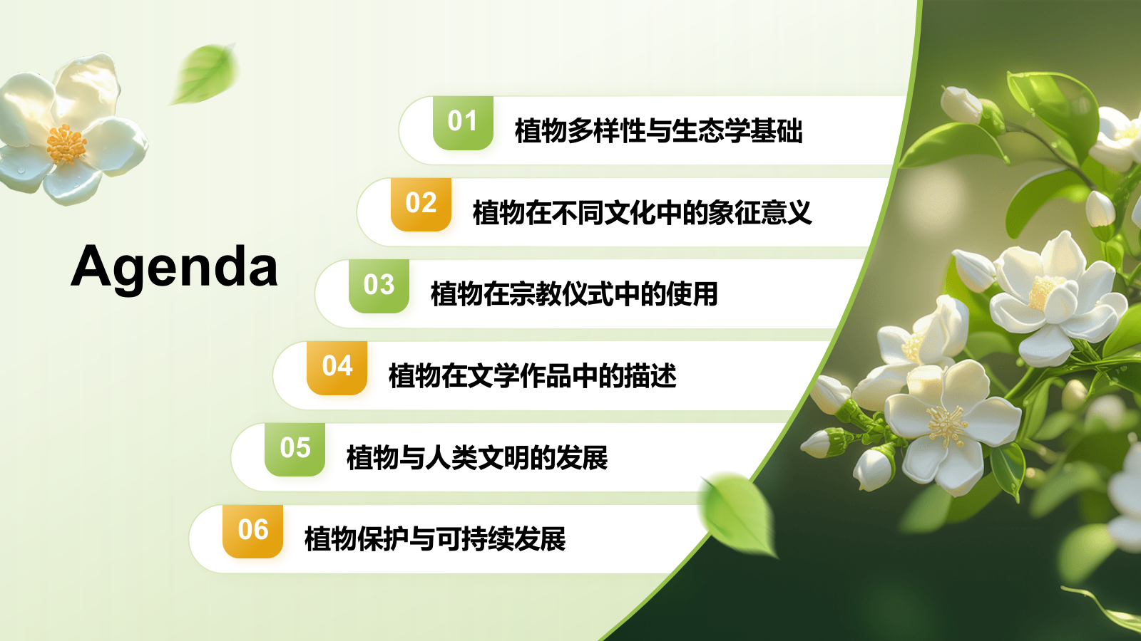 绿色插画风植物生态学与人类文明发展PPT模板.pptx_第2页