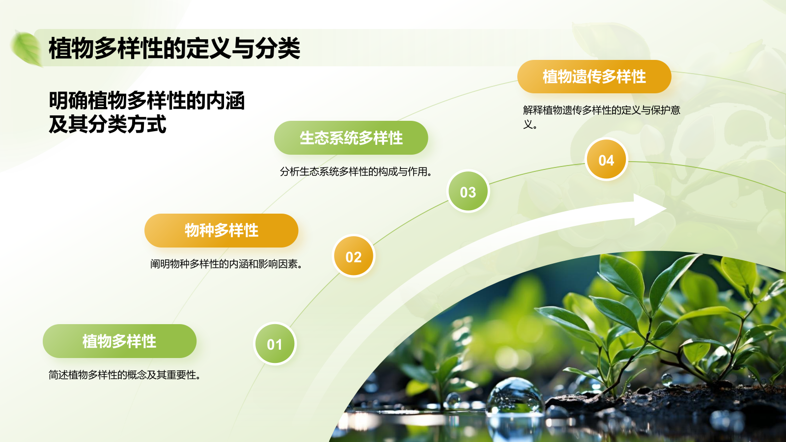 绿色插画风植物生态学与人类文明发展PPT模板.pptx_第4页