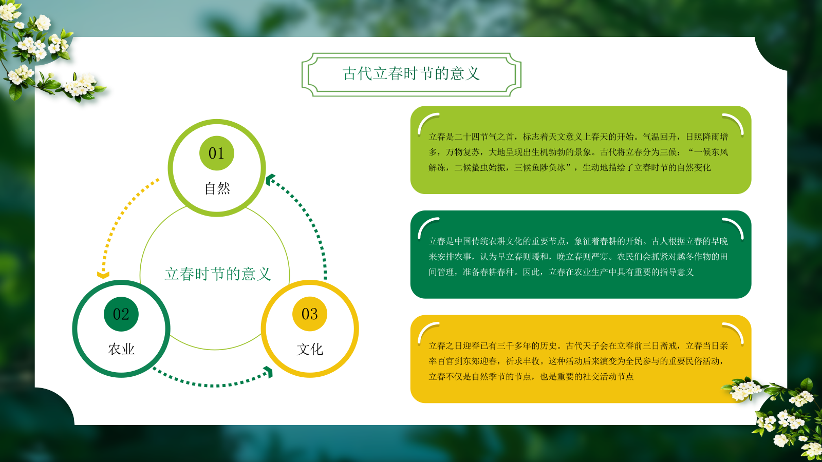 绿色二十四节气立春PPT模板.pptx_第6页