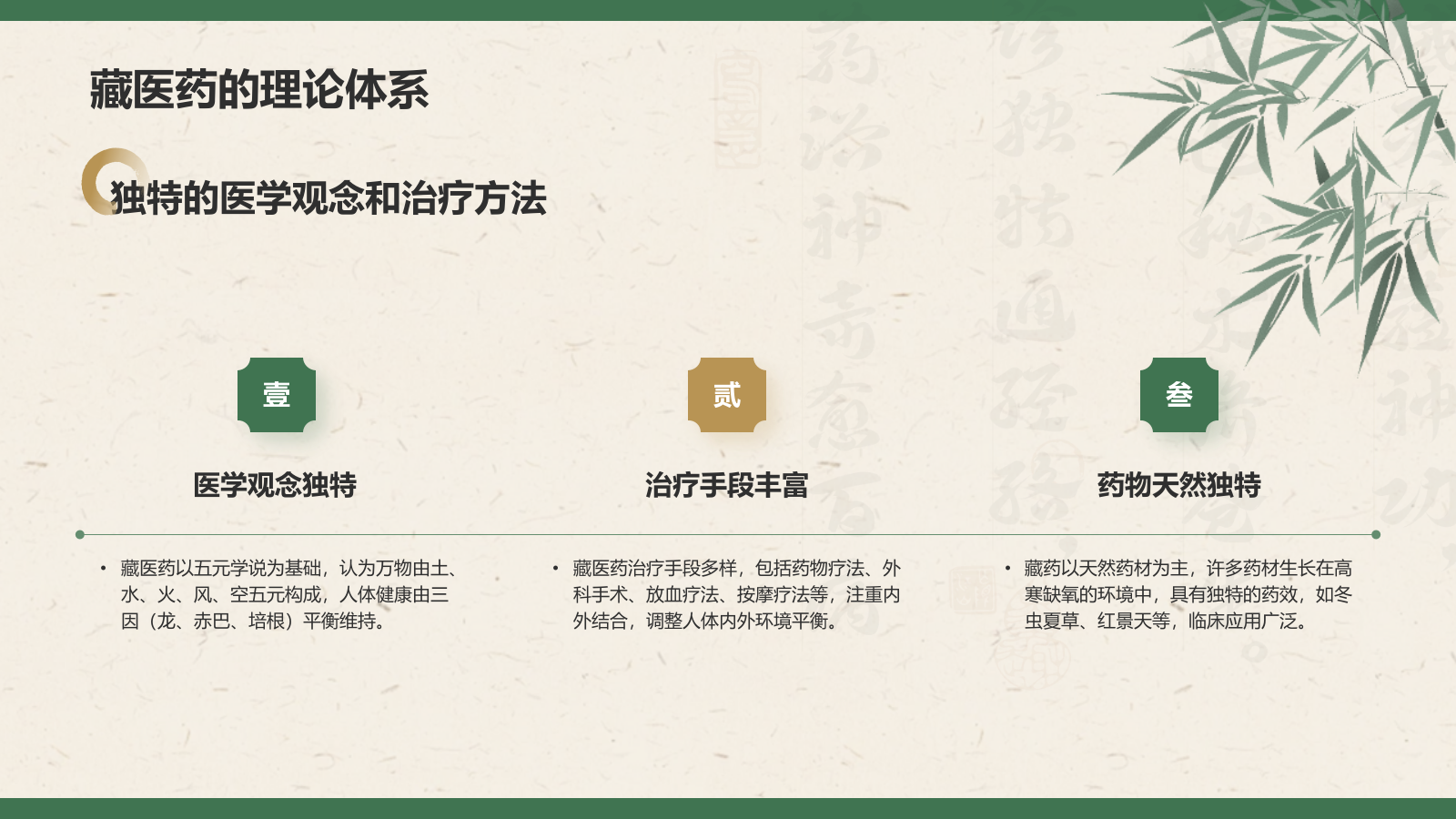 绿色复古风非遗文化介绍——藏医药PPT模板.pptx_第6页